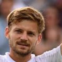 Goffin David
